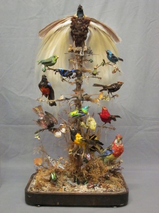 A Victorian arrangement of 14 various stuffed and mounted birds contained within a glass dome