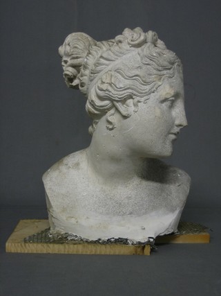 A head and shoulders portrait bust of a lady 19"