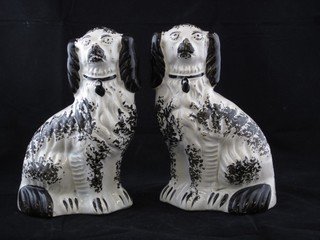 A pair of black glazed Staffordshire figures of seated spaniels 7"