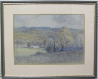 V Ross, pastel drawing "Blackthorn and Bluebells at Darwell Reservoir" 12" x 17"