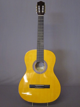 A classical guitar, labelled Encore