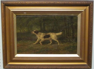 A Victorian oil on board "Study of a Springer Spaniel"  indistinctly signed to bottom left hand corner, 8" x 13"