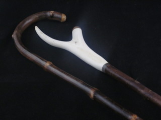 A thumb stick with staghorn handle and a walking stick