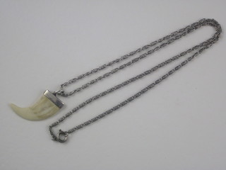 A tiger's claw pendant hung on a fine metal chain