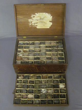 A collection of 141 various Victorian geological specimens contained in 4 trays in a pine box with hinged lid