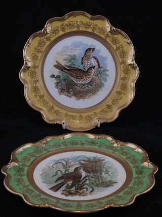 6 Coalport dessert plates from a limited edition of 100, decorated  birds 9" no.100
