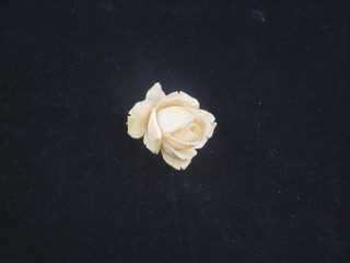 A carved ivory brooch in the form of a rose head
