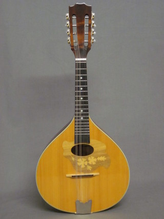 An 8 stringed mandolin - The Ozark