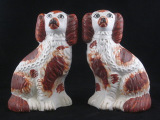 A pair of Staffordshire figures of white and brown seated  Spaniels 7 1/2", 1 cracked,