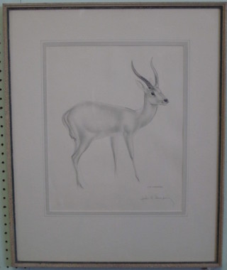 J R Skeaping, signed coloured proof "Leechee Antelope" the  reverse with J Ward gallery label, 13" x 11"