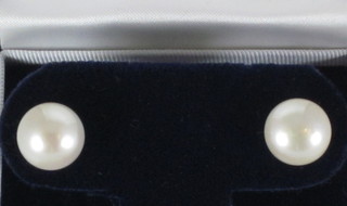 A pair of freshwater pearl ear studs