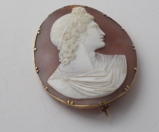 A shell carved cameo portrait brooch of a lady contained in a gold mount
