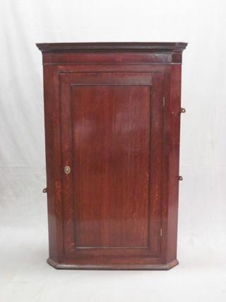 A Georgian oak hanging corner cabinet with moulded and dentil cornice, the interior fitted shelves enclosed by a panelled door  31"