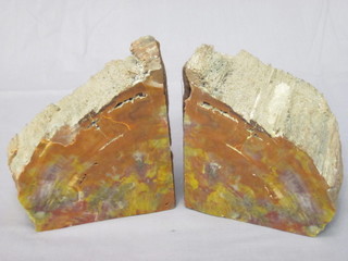 A pair of polished Arizona petrified wood bookends 5"