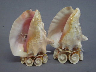 A pair of table lamps in the form of sea shells 7"