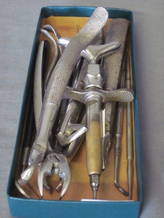 A collection of various dental instruments