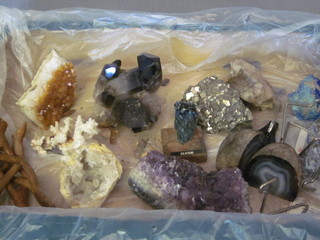 A collection of fossils, polished stones etc