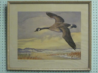 A coloured print "Canadian Geese" 13" x 17"