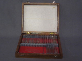 A box containing a collection of modern glass microscope slides
