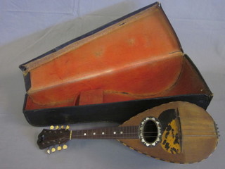An 8 stringed mandolin