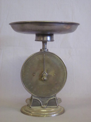 A Salters family scale no.50