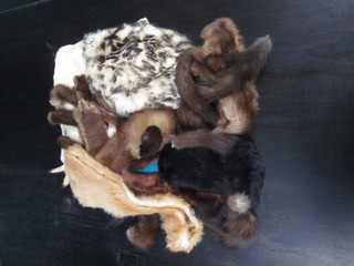 A collection of various sections of fur