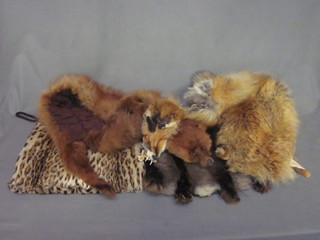 A blonde fox fur and other furs