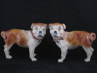 A pair of 19th Century Staffordshire figures of standing pugs 6"   ILLUSTRATED