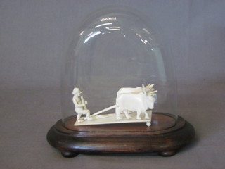 An African carved ivory group of a figure ploughing with buffalo 4" contained under a glass dome