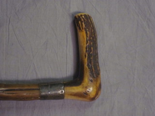 A walking stick with silver band and stag horn handle
