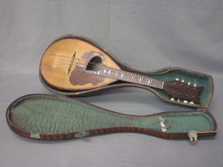 A mandolin labelled Fabbrigazione Artsistiga contained in a  shaped wooden case