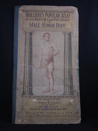 Baillere's "Popular Atlas of The Anatomy and Physiology of The  Male Human Body 1945"