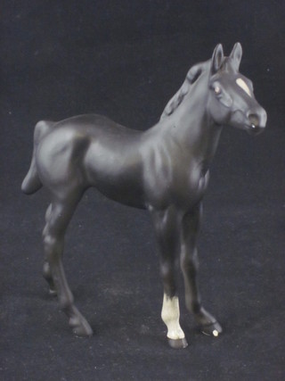 A Beswick figure of a black standing foal 6", chip to hoof,   ILLUSTRATED