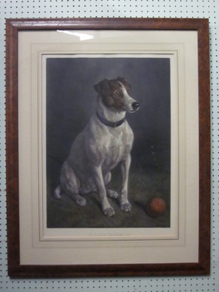 A coloured print of a seated Jack Russell "Please Throw It" 23" x 17"