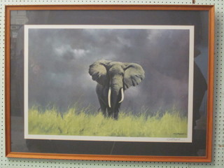 David Shepherd, a coloured print "Wise Old Elephant" signed  20" x 20 1/2"