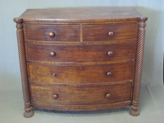 A Victorian mahogany bow front chest of 2 short and 3 long  drawers with tore handles and turned columns to the sides, 51"