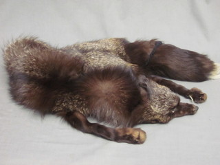 A silver fox fur