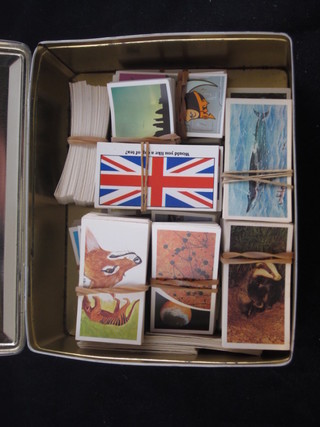 A metal tin containing a collection of tea cards