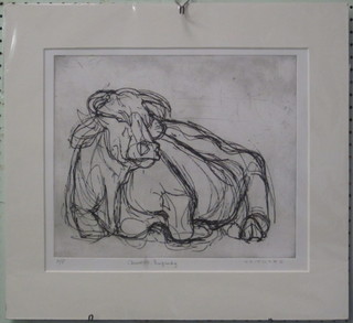 Whittmore, artists proof monochrome print of a cow "Charolais Burgundy" 12" x 14"