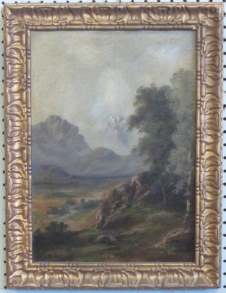 Oil on board "Mountain Scene" indistinctly signed to bottom  right hand corner and inscribed to reverse 13" x 9"