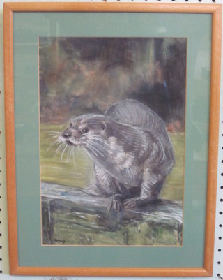 Quip, watercolour "Study of an Otter" 11" x 7"