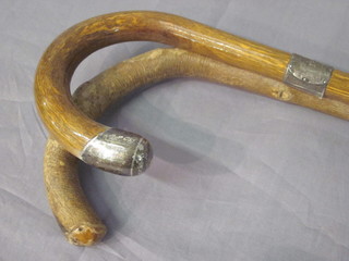 A walking stick with silver band and 1 other