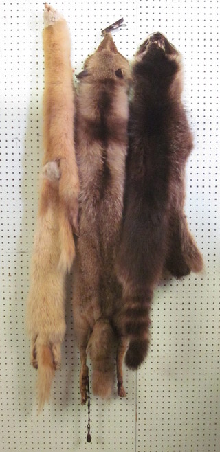 A blonde fox fur, a Raccoon stole and 1 other fur