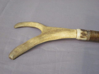 A stick with staghorn handle