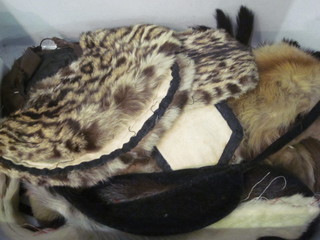 A collection of various sections of fur