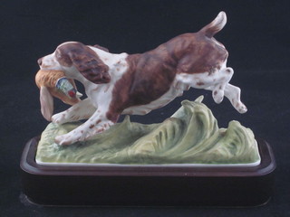 A Royal Worcester Sporting Dogs Series figure - Springer Spaniel 1975 6"