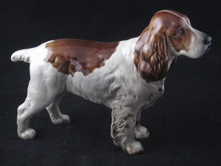 A Beswick figure of a standing Spaniel 5"