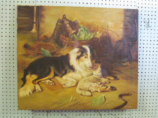 Augustus Cassels, oil on canvas "Seated Collie Dog and Lamb"  the reverse labelled, 20" x 23"