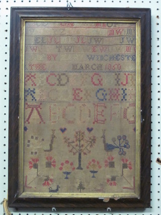 A Victorian woolwork sampler with alphabet, trees and birds by  Mary Winchester 14 March 1850, some holes 16" x 11"