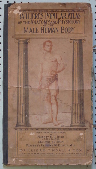 Baillere's "Popular Atlas of The Anatomy and Physiology of The  Male Human Body 1945"